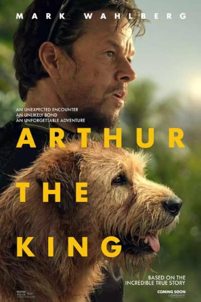 Download Arthur the King (2024) Dual Audio {Hindi-English} Movie 480p | 720p | 1080p WEB-DL ESub Download Arthur the King (2024) Dual Audio {Hindi-English} Movie 480p | 720p | 1080p WEB-DL ESub